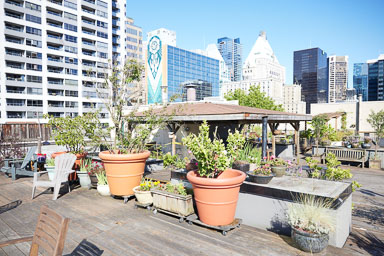 Roof top garden - The Manhatten