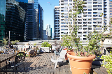 Roof top garden - The Manhatten