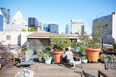 Roof top garden - The Manhatten